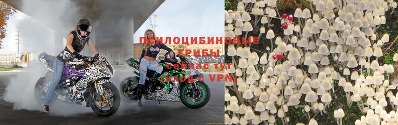 Все наркотики Адыгейск НБОМе  МАРИХУАНА  Меф мяу мяу  ГАШ 