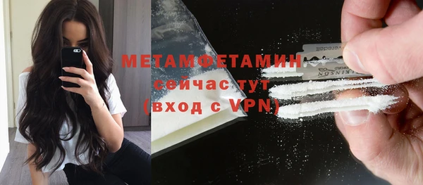 сатива Осинники
