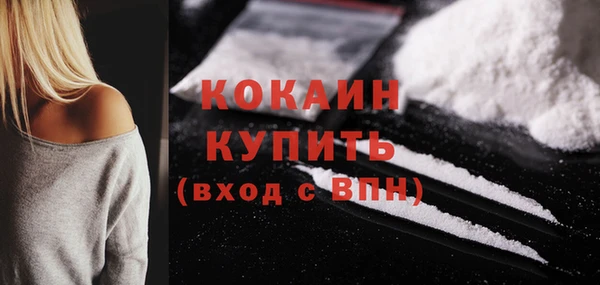 стаф Дмитриев