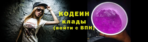дживик Снежногорск