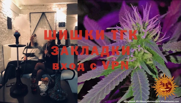 сатива Осинники