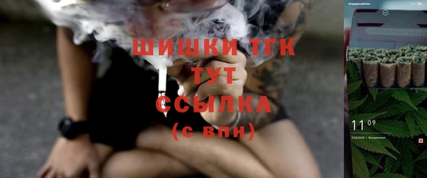 сатива Осинники