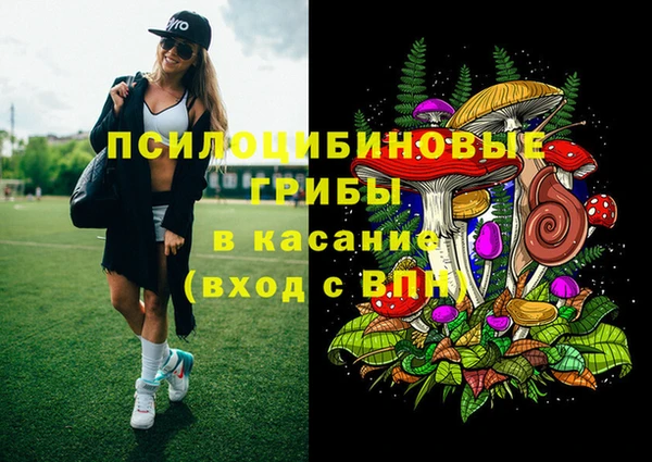соль ск Дмитров