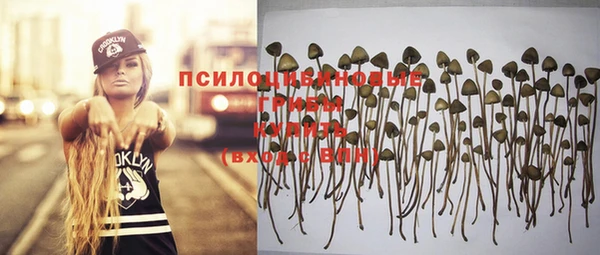 бошки Снежинск